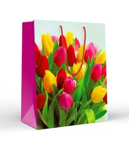 Пакет подарочный (L) «Цветные тюльпаны»