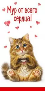 Конверт для денег «Мур от всего сердца!»