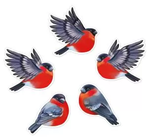 Набор оформительский на скотче «Зимние птички»