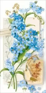 Конверт для денег без надписи (незабудки)