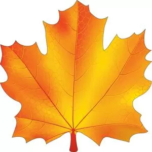 Украшение на скотче «Кленовый лист»