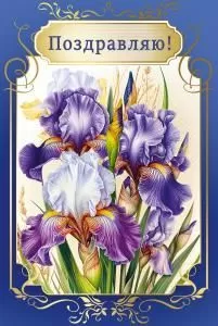 Открытка «Поздравляю!»