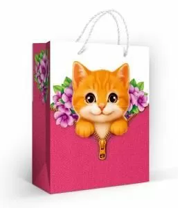 Пакет подарочный «Рыжий котёнок» (M)