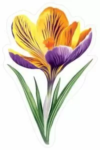 Украшение на скотче «Крокус жёлто-синий»