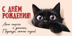 Конверт для денег «С Днём рождения! Лапы тянутся к деньгам...»