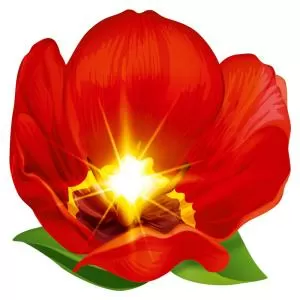 Украшение на скотче «Тюльпан» 