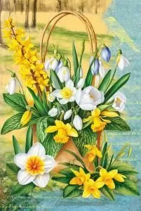 Открытка без надписи