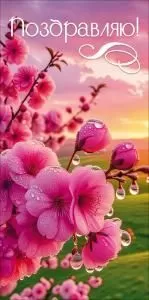 Конверт для денег «Поздравляю!»