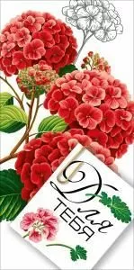 Конверт для денег «Для тебя» (красные цветы)