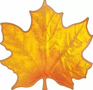 Украшение на скотче «Кленовый лист»