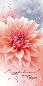 Конверт для денег «Поздравляем! От всего сердца»