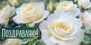 Конверт для денег «Поздравляю!» (белые розы)