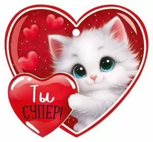 Бирка «Ты супер!»