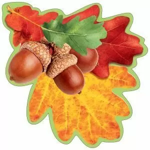Украшение на скотче «Лист дуба»