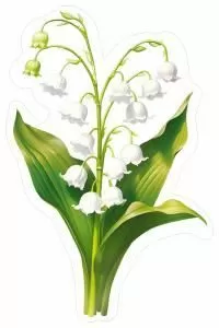 Украшение на скотче «Ландыш»