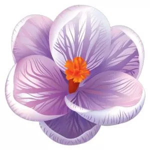 Украшение на скотче «Крокус синий» 