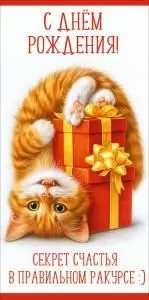 Конверт для денег «С Днём рождения! Секрет счастья в правильном ракурсе:)» (рыжий кот с подарками)