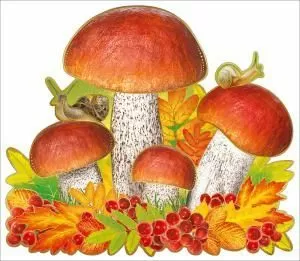 без названия ПОДОСИНОВИКИ И ПОДБЕРЕЗОВИКИ