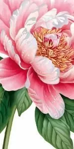 Конверт для денег без надписи