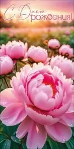 Конверт для денег «С Днём рождения!»