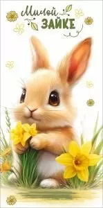 Конверт для денег «Милой зайке»