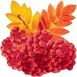 Украшение на скотче «Рябина»