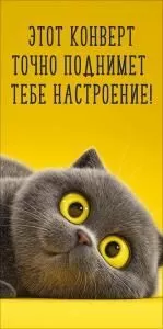 Конверт для денег «Этот конверт точно поднимет тебе настроение!»