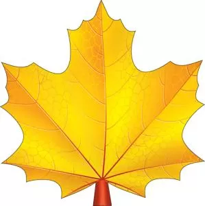 Украшение на скотче «Кленовый лист»