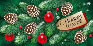 Конверт для денег «С Новым годом!» 