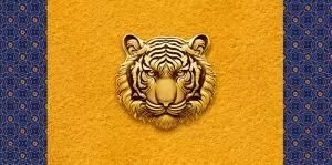 Конверт для денег Без надписи