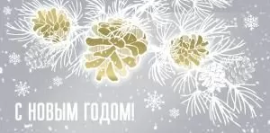 Конверт для денег «С Новым годом!»