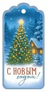 Бирка « С Новым годом!» Бирка « С Новым годом!»