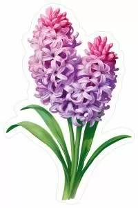 Украшение на скотче «Гиацинты сиреневые»