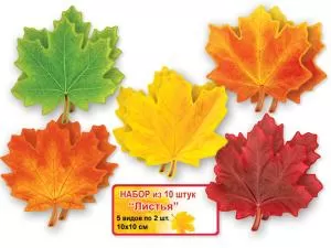 Набор оформительский на скотче «Листья» 5 видов по 2 шт.