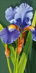 Конверт для денег «Без надписи»