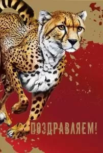 Открытка «Поздравляем»
 