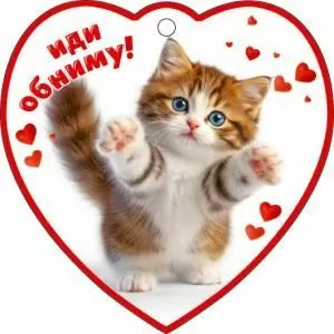 Бирка-сердечко «Иди обниму!»