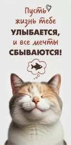 Конверт для денег «Пусть жизнь тебе улыбается!»