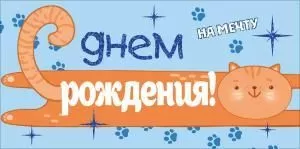 Конверт для денег «С Днем Рождения! На мечту» (рыжий кот)