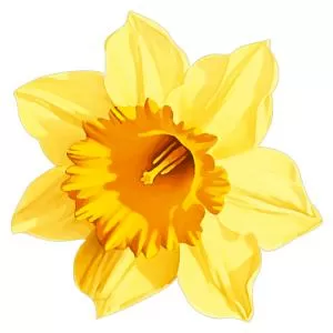 Украшение на скотче «Жёлтый нарцисс» 