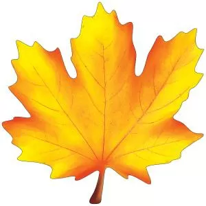 Украшение на скотче «Кленовый лист жёлто-оранжевый»