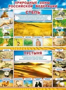 Плакат «Природные зоны РФ: Степь/Пустыня»