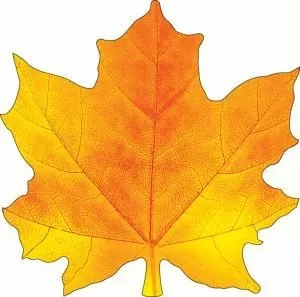 Украшение на скотче «Кленовый лист»