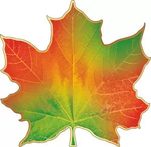 Украшение на скотче «Кленовый лист»