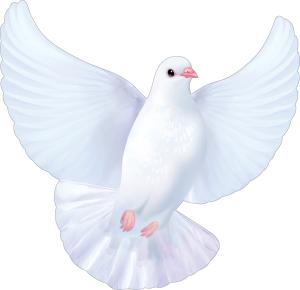 Украшение на скотче «Голубь» (правый)