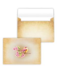 Конверт художественный средний «Птичка»