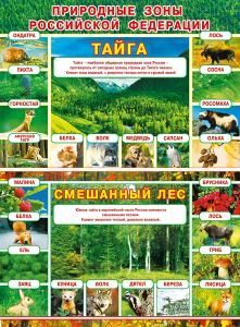 Плакат «Природные зоны РФ: Тайга/Смешанный лес»