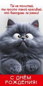 Конверт для денег «С Днём рождения! Ты не толстый...»