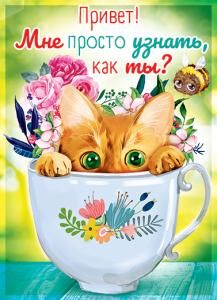 Привет. Мне просто узнать, как ты?