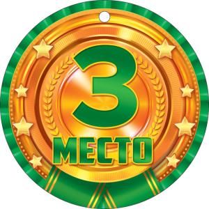 Медаль «3 место. Бронза»